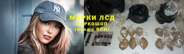 PSILOCYBIN Верея
