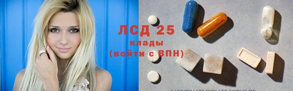 PSILOCYBIN Верея
